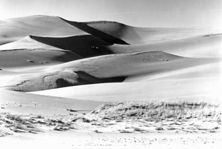 DuneII_2010_small.jpg