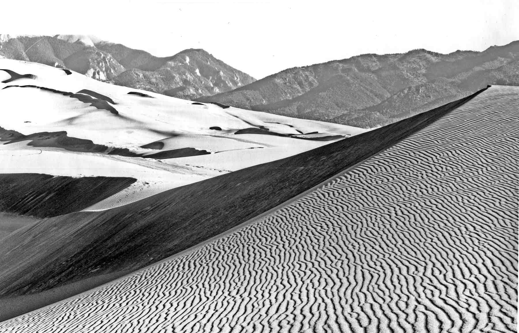 Image: Dune Study #4